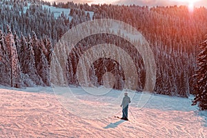 Skier on piste in mountains forest sunset winter landscape