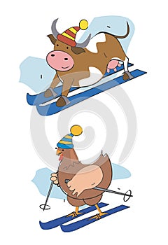 Skier-pullet-cow photo