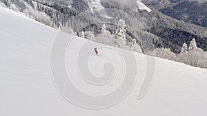 Skier riding freeride on ski from snowy slope in winter mountain pine forest