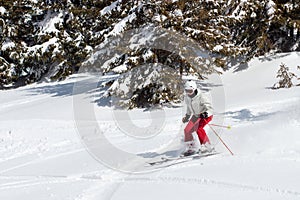 Skier skiing downhill in high mountains against fir-tree