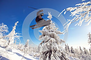 Skier skiing downhill jump during sunny day fresh snow freeride. Extreme High speed, frosty dust scatters