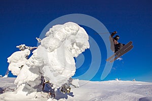 Skier skiing downhill jump during sunny day fresh snow freeride. Extreme High speed, frosty dust scatters