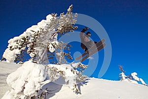 Skier skiing downhill jump during sunny day fresh snow freeride. Extreme High speed, frosty dust scatters