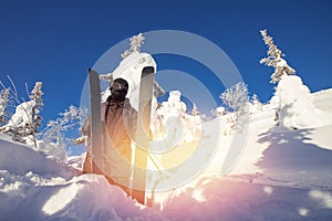 Skier skiing downhill during sunny day in mountains and forest. Extreme winter sports