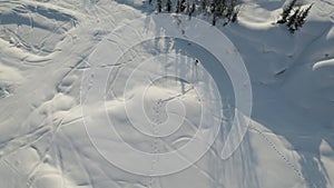 Skier skiing on a snowy plain