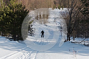 The skier slides down the hill around the forest