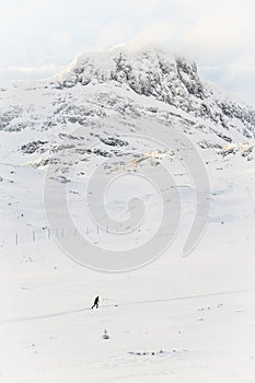 Skier in a snow covered mountain landscape in BeitoslÃÂ¸len Norway photo