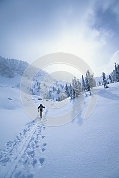 Skier Walking Through Snow