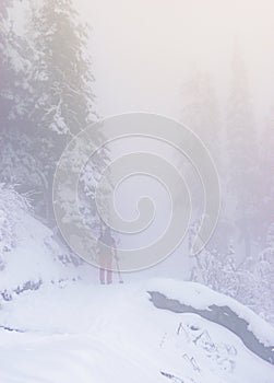 A skier walking in snow forest with a lot fog
