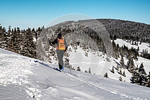 Lyžiar chôdza v zasneženej zimnej krajine. Skialpinizmus vo Veľkej Fatre na Slovensku