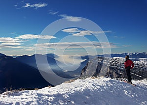 Skier and winter alpine