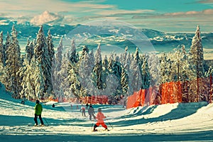 Skiers exercising skiing downhill in Poiana Brasov ski resort, Romania