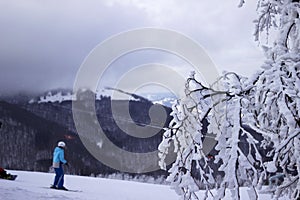 Skiers go skiing in the Carpathian mountains, lots of snow winter