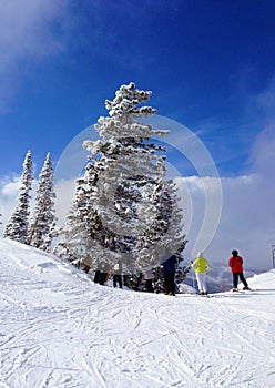 Skiers on mountain