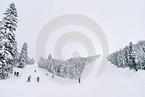 Skiers ski down a gently sloping snow track along a steep slope and forest