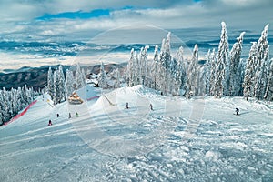 Skiers on the slope and snowy forest in background, Romania