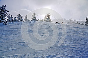 Skiers on the slope at winter resort