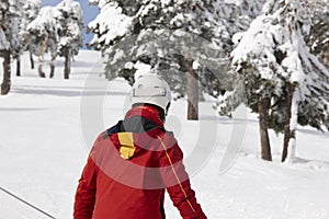 Skiers on snowy forest slope. White mountain landscape. Winter