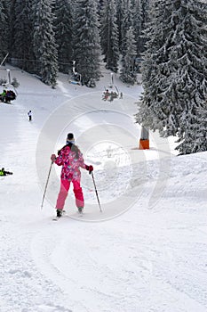 Skiers on the trail