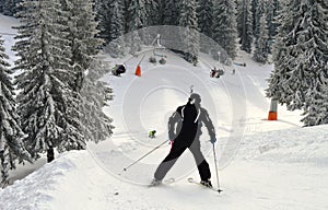 Skiers on the trail