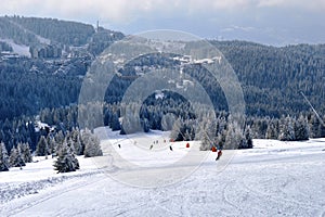 Skiers on the trail