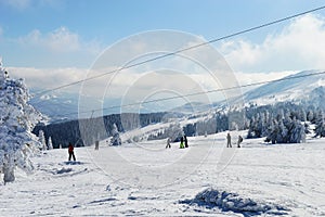 Skiers on the trail