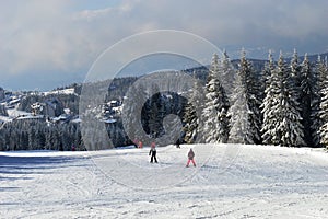 Skiers on the trail