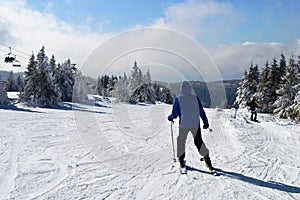 Skiers on the trail