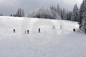 Skiers on the trail