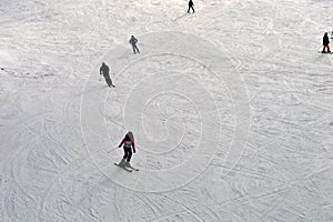 Skiers on the trail