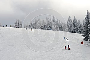 Skiers on the trail