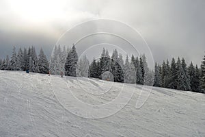 Skiers on the trail