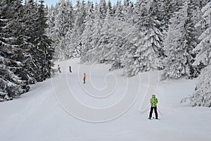 Skiers on the trail