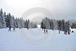 Skiers on the trail