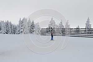 Skiers on the trail