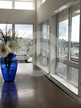 Skies of a Seattle Apartment