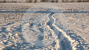 Skii trace lines on field