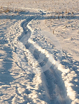 Skii trace lines on field