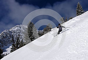 Skiing img