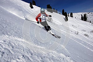 Skiing img