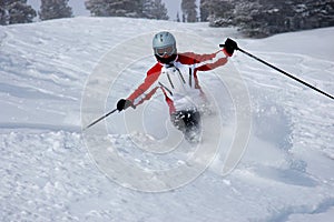 Skiing img