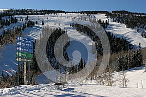 Skiing in Aspen, Colorado photo