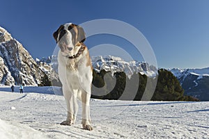 Sciare attraverso dolomiti un 