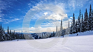 Skiing down smooth slopes under blue sky in the high alpine ski area at Sun Peaks