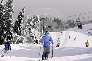 Skiing Downhill