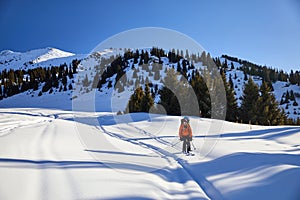 Skiing on the fresh powder snow