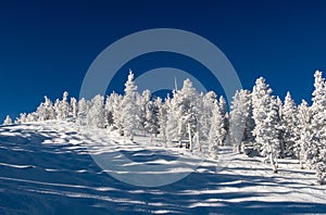 Skiing in Heavenly Valley