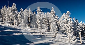 Skiing in Heavenly Valley