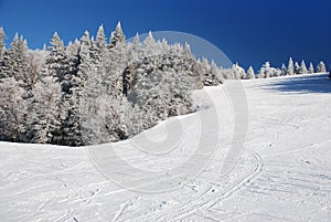 Skiing hill