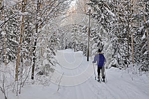 Skiing in nature